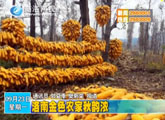 商洛全接触（2013-09-23）
