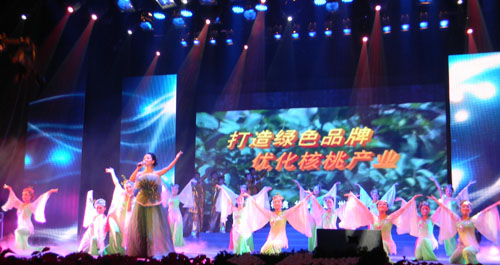 “相约中国核桃之都”文艺晚会