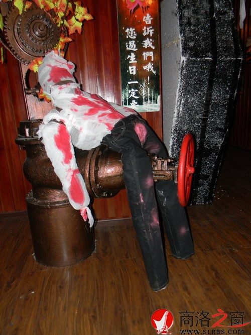 DSCN1341.jpg