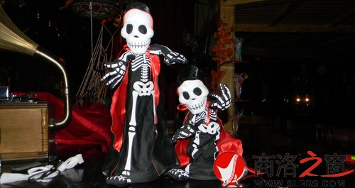 DSCN1339.jpg