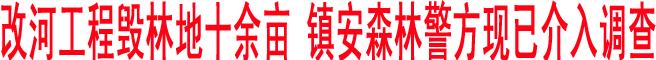 改河工程毁林地十余亩 镇安森林警方现已介入调查