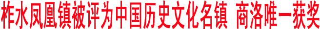 柞水凤凰镇被评为中国历史文化名镇 商洛唯一获奖