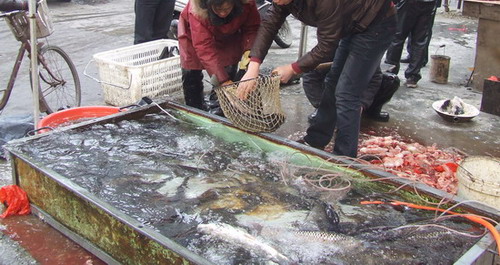 新春年货“肉蛋禽”引领市场行情