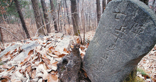 柞水发现清代阵亡官兵集体墓 文物部门称罕见