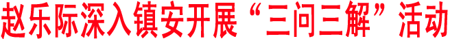 赵乐际深入镇安开展“三问三解”活动