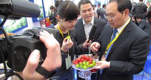 第十六届西洽会商洛展馆掠影