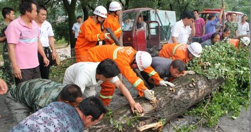 警民联动保畅通