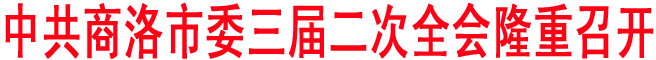 中共商洛市委三届二次全会隆重召开