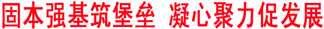 固本强基筑堡垒 凝心聚力促发展