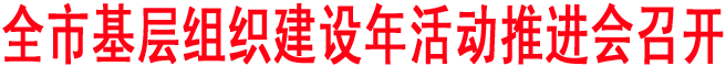 全市基层组织建设年活动推进会召开