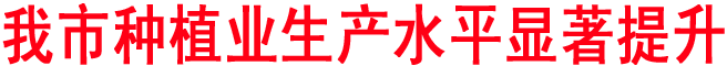 我市种植业生产水平显著提升