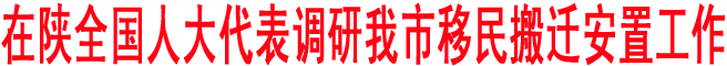 在陕全国人大代表调研我市移民搬迁安置工作