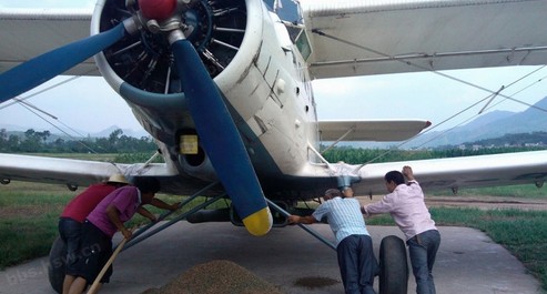 全市飞播造林达百万亩