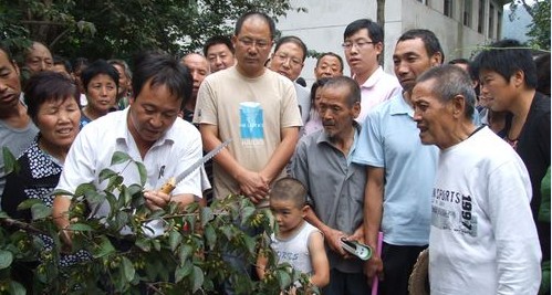 我市林业部门深入田间指导果农开展病虫害防治