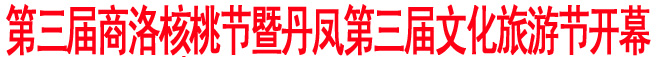 第三届商洛核桃节暨丹凤第三届文化旅游节开幕