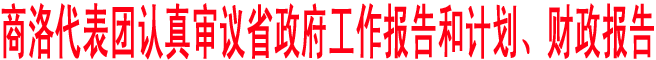 商洛代表团认真审议省政府工作报告和计划、财政报告