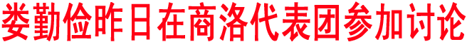 娄勤俭昨日在商洛代表团参加讨论
