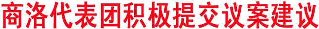 商洛代表团积极提交议案建议