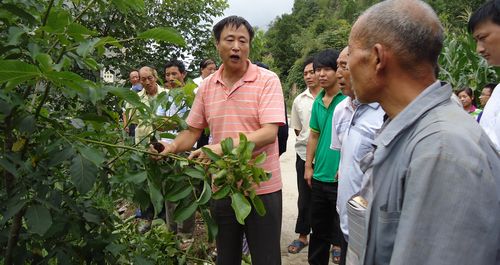 商洛人大常委会真心实意为群众办实事