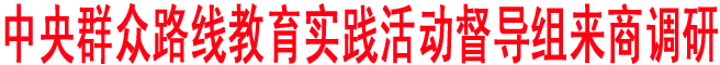 中央群众路线教育实践活动督导组来商洛调研