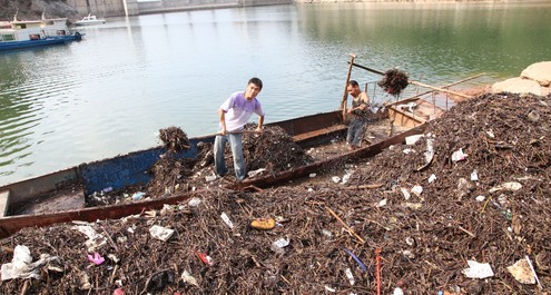 商洛二龙山水库管理处为净化保护水源