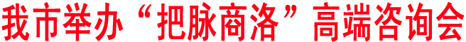 商洛举办“把脉商洛”高端咨询会