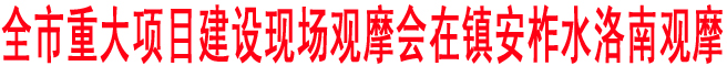 商洛市重大项目建设现场观摩会在镇安柞水洛南观摩