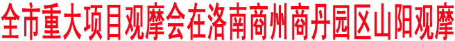商洛市重大项目观摩会在洛南商州商丹园区山阳观摩