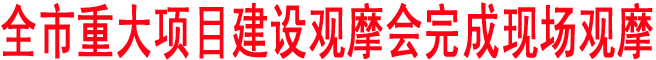 商洛市重大项目建设观摩会完成现场观摩