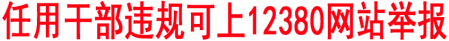 任用干部违规可上12380网站举报