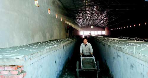 总投资1200万元的洛南家庭农场正在紧张施工