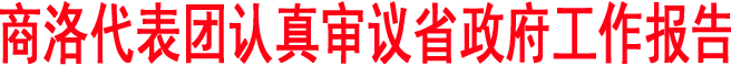 商洛代表团认真审议省政府工作报告和计划、财政报告