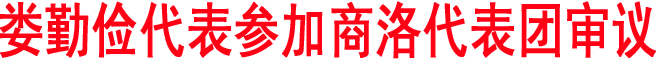娄勤俭代表参加商洛代表团审议