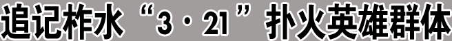 追记柞水“3·21”扑火英雄群体