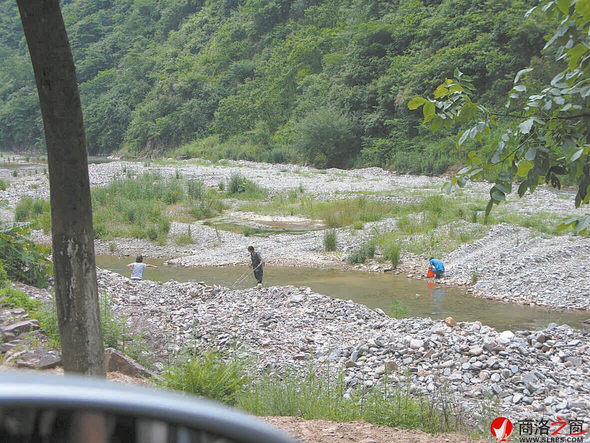 6月2日，柞水杏坪镇金口村不到十里的河道电鱼的就有四伙人