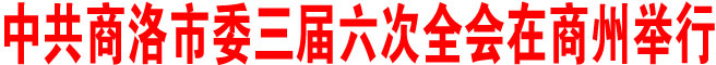 中共商洛市委三届六次全会在商州举行