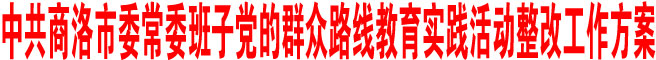 中共商洛市委常委班子党的群众路线教育实践活动整改工作方案