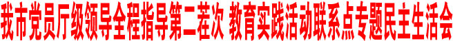 商洛市党员厅级领导全程指导第二茬次 教育实践活动联系点专题民主生活会
