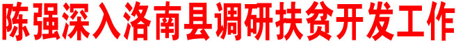 陈强在洛南县调研扶贫开发工作时强调：抢抓机遇 加快发展 持之以恒抓好扶贫开发工作
