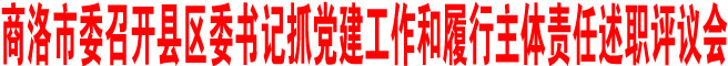 商洛市委召开县区委书记抓党建工作和履行主体责任述职评议会