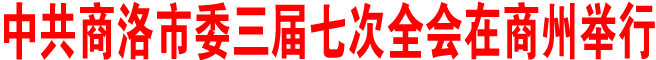 中共商洛市委三届七次全会在商州举行