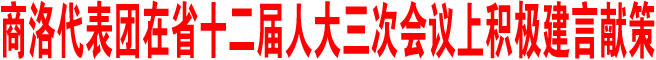 商洛代表团积极建言献策