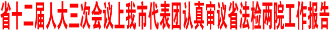 商洛市代表团认真审议省法检两院工作报告