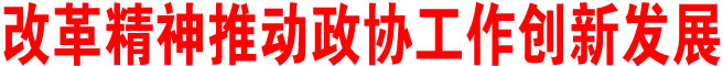 改革精神推动政协工作创新发展