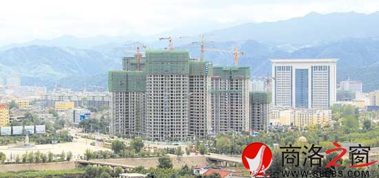 市区西片长高增绿