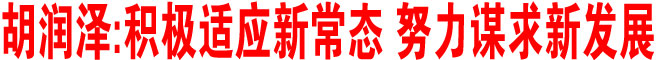 积极适应新常态 努力谋求新发展