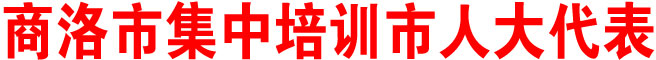 商洛市集中培训市人大代表