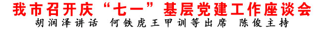 商洛市召开庆“七一”基层党建工作座谈会