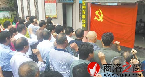 商洛日报党总支组织党员重温入党誓词