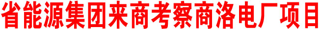 陕西省能源集团来商考察商洛电厂项目